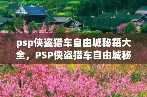 psp侠盗猎车自由城秘籍大全，PSP侠盗猎车自由城秘籍，解锁无限可能