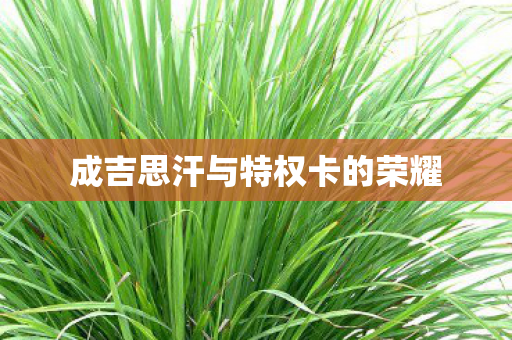 成吉思汗与特权卡的荣耀 成吉思汗与特权卡的荣耀
