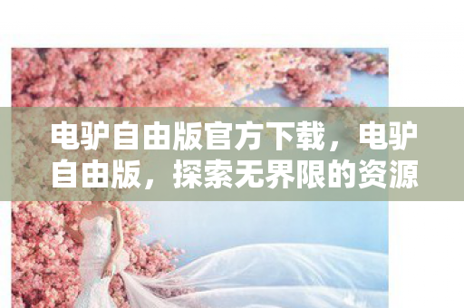 电驴自由版官方下载,电驴自由版,探索无界限的资源共享之旅 电驴自由版官方下载,电驴自由版,探索无界限的资源共享之旅