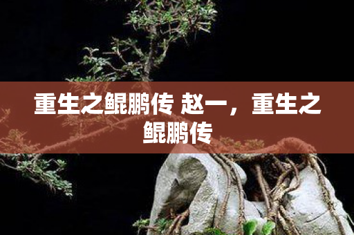重生之鲲鹏传 赵一，重生之鲲鹏传