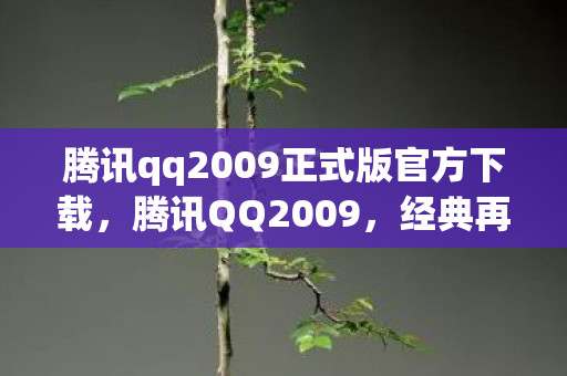 腾讯qq2009正式版官方下载,腾讯QQ2009,经典再现,回忆里的聊天工具 腾讯qq2009正式版官方下载,腾讯QQ2009,经典再现,回忆里的聊天工具