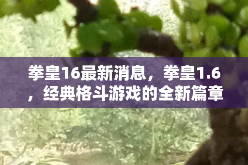 拳皇16最新消息,拳皇1.6,经典格斗游戏的全新篇章 拳皇16最新消息,拳皇1.6,经典格斗游戏的全新篇章