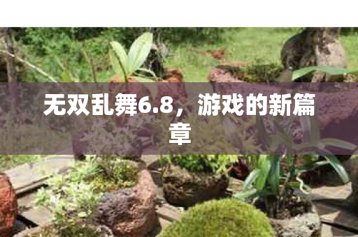 无双乱舞6.8,游戏的新篇章 无双乱舞6.8,游戏的新篇章