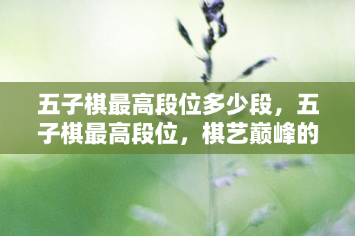 五子棋最高段位多少段,五子棋最高段位,棋艺巅峰的荣耀与传承 五子棋最高段位多少段,五子棋最高段位,棋艺巅峰的荣耀与传承