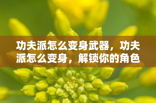 功夫派怎么变身武器,功夫派怎么变身,解锁你的角色潜能 功夫派怎么变身武器,功夫派怎么变身,解锁你的角色潜能
