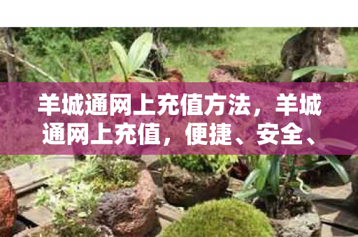 羊城通网上充值方法,羊城通网上充值,便捷、安全、高效的公共交通新体验 羊城通网上充值方法,羊城通网上充值,便捷、安全、高效的公共交通新体验