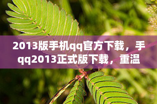 2013版手机qq官方下载,手qq2013正式版下载,重温经典,畅享高效通讯 2013版手机qq官方下载,手qq2013正式版下载,重温经典,畅享高效通讯