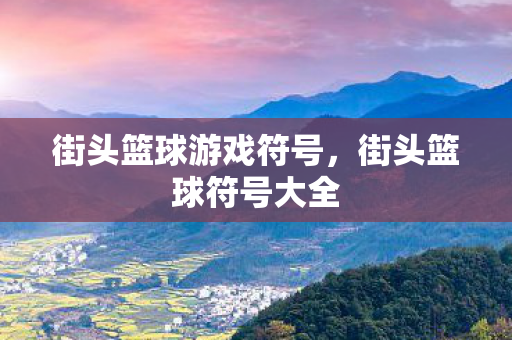 街头篮球游戏符号，街头篮球符号大全