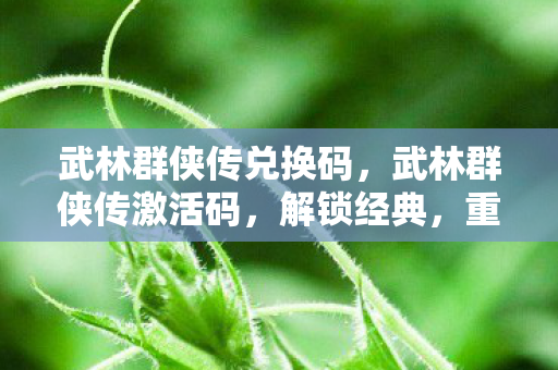 武林群侠传兑换码,武林群侠传激活码,解锁经典,重温江湖梦 武林群侠传兑换码,武林群侠传激活码,解锁经典,重温江湖梦