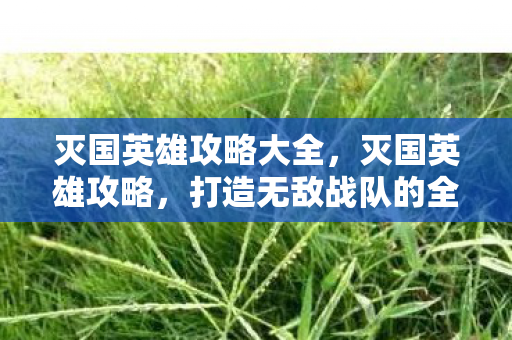 灭国英雄攻略大全,灭国英雄攻略,打造无敌战队的全面指南 灭国英雄攻略大全,灭国英雄攻略,打造无敌战队的全面指南