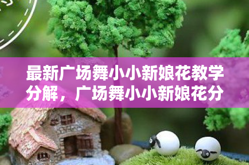 最新广场舞小小新娘花教学分解，广场舞小小新娘花分解动作详解
