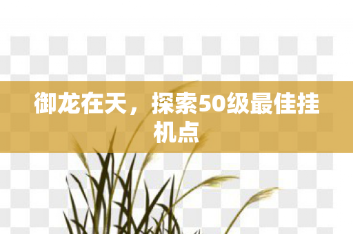御龙在天,探索50级最佳挂机点 御龙在天,探索50级最佳挂机点