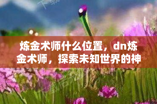 炼金术师什么位置,dn炼金术师,探索未知世界的神秘技艺 炼金术师什么位置,dn炼金术师,探索未知世界的神秘技艺