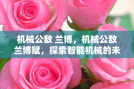 机械公敌 兰博，机械公敌兰博赋，探索智能机械的未来挑战