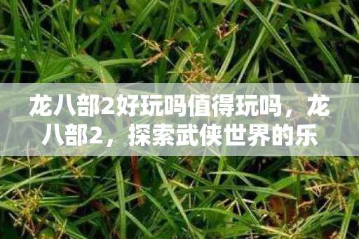 龙八部2好玩吗值得玩吗,龙八部2,探索武侠世界的乐趣 龙八部2好玩吗值得玩吗,龙八部2,探索武侠世界的乐趣