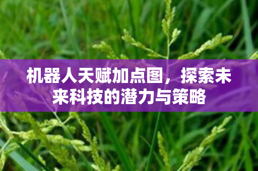 机器人天赋加点图,探索未来科技的潜力与策略 机器人天赋加点图,探索未来科技的潜力与策略