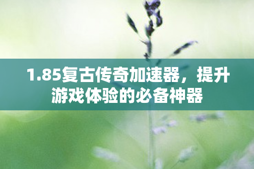 1.85复古传奇加速器，提升游戏体验的必备神器