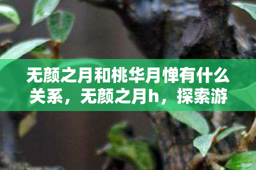 无颜之月和桃华月惮有什么关系,无颜之月h,探索游戏世界的独特魅力 无颜之月和桃华月惮有什么关系,无颜之月h,探索游戏世界的独特魅力