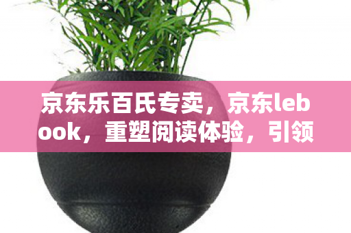 京东乐百氏专卖,京东lebook,重塑阅读体验,引领数字时代新风尚 京东乐百氏专卖,京东lebook,重塑阅读体验,引领数字时代新风尚