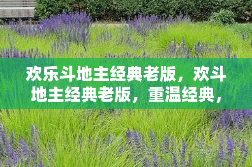 欢乐斗地主经典老版,欢斗地主经典老版,重温经典,感受斗地主的魅力 欢乐斗地主经典老版,欢斗地主经典老版,重温经典,感受斗地主的魅力