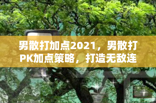 男散打加点2021，男散打PK加点策略，打造无敌连招，称霸PK场
