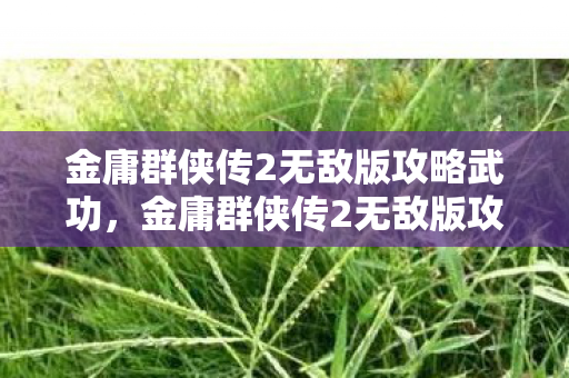 金庸群侠传2无敌版攻略武功,金庸群侠传2无敌版攻略,打造最强角色,畅游武侠世界 金庸群侠传2无敌版攻略武功,金庸群侠传2无敌版攻略,打造最强角色,畅游武侠世界