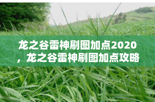 龙之谷雷神刷图加点2020，龙之谷雷神刷图加点攻略，打造高效刷图体验