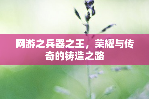 网游之兵器之王，荣耀与传奇的铸造之路