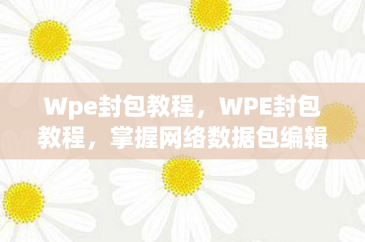Wpe封包教程,WPE封包教程,掌握网络数据包编辑技巧 Wpe封包教程,WPE封包教程,掌握网络数据包编辑技巧