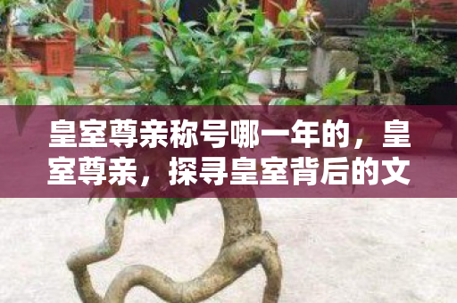 皇室尊亲称号哪一年的,皇室尊亲,探寻皇室背后的文化魅力 皇室尊亲称号哪一年的,皇室尊亲,探寻皇室背后的文化魅力