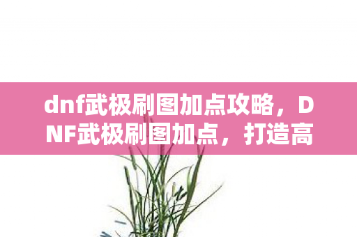 dnf武极刷图加点攻略，DNF武极刷图加点，打造高效战斗体验
