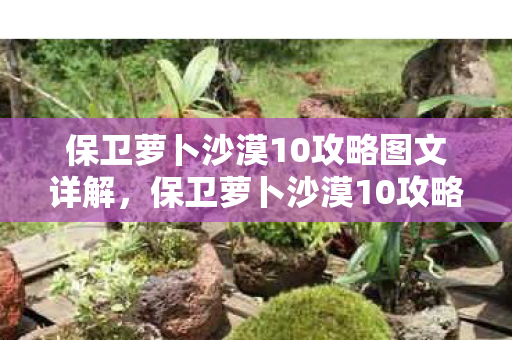 保卫萝卜沙漠10攻略图文详解,保卫萝卜沙漠10攻略,策略与技巧的全面解析 保卫萝卜沙漠10攻略图文详解,保卫萝卜沙漠10攻略,策略与技巧的全面解析