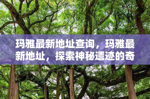 玛雅最新地址查询，玛雅最新地址，探索神秘遗迹的奇幻之旅