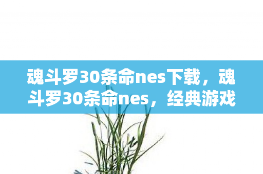 魂斗罗30条命nes下载,魂斗罗30条命nes,经典游戏的魅力与回忆 魂斗罗30条命nes下载,魂斗罗30条命nes,经典游戏的魅力与回忆