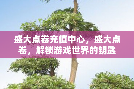 盛大点卷充值中心，盛大点卷，解锁游戏世界的钥匙