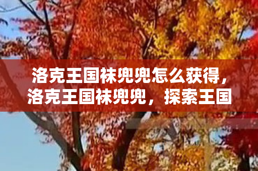 洛克王国袜兜兜怎么获得,洛克王国袜兜兜,探索王国中的时尚与乐趣 洛克王国袜兜兜怎么获得,洛克王国袜兜兜,探索王国中的时尚与乐趣