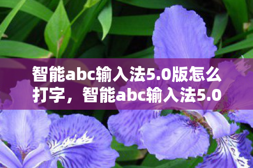 智能abc输入法5.0版怎么打字，智能abc输入法5.0版，高效便捷，重塑输入体验