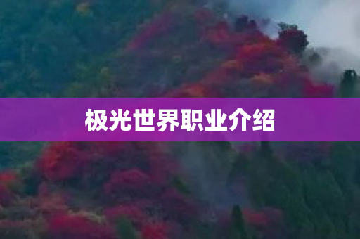 极光世界职业介绍 极光世界职业介绍