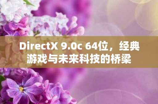 DirectX 9.0c 64位，经典游戏与未来科技的桥梁