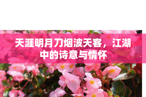 天涯明月刀烟波天客,江湖中的诗意与情怀 天涯明月刀烟波天客,江湖中的诗意与情怀
