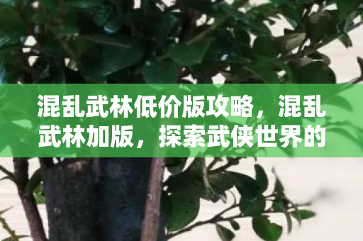 混乱武林低价版攻略，混乱武林加版，探索武侠世界的另类玩法