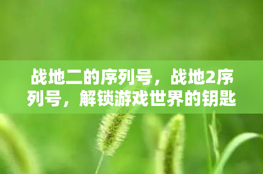战地二的序列号,战地2序列号,解锁游戏世界的钥匙 战地二的序列号,战地2序列号,解锁游戏世界的钥匙