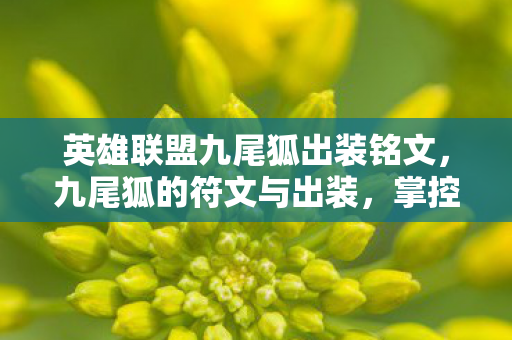 英雄联盟九尾狐出装铭文,九尾狐的符文与出装,掌控雷电的法师之路 英雄联盟九尾狐出装铭文,九尾狐的符文与出装,掌控雷电的法师之路