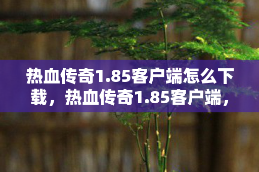 热血传奇1.85客户端怎么下载,热血传奇1.85客户端,重温经典,再燃激情 热血传奇1.85客户端怎么下载,热血传奇1.85客户端,重温经典,再燃激情