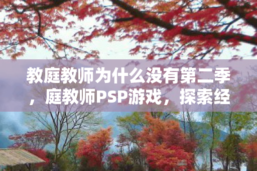 教庭教师为什么没有第二季,庭教师PSP游戏,探索经典与创新的完美结合 教庭教师为什么没有第二季,庭教师PSP游戏,探索经典与创新的完美结合