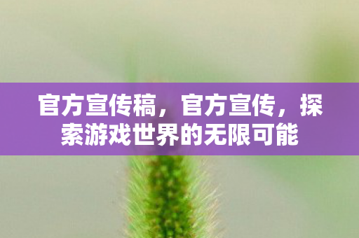 官方宣传稿,官方宣传,探索游戏世界的无限可能 官方宣传稿,官方宣传,探索游戏世界的无限可能