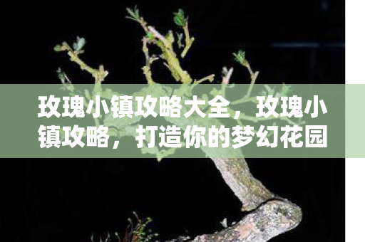 玫瑰小镇攻略大全,玫瑰小镇攻略,打造你的梦幻花园 玫瑰小镇攻略大全,玫瑰小镇攻略,打造你的梦幻花园