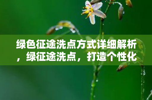 绿色征途洗点方式详细解析,绿征途洗点,打造个性化角色,提升游戏体验 绿色征途洗点方式详细解析,绿征途洗点,打造个性化角色,提升游戏体验
