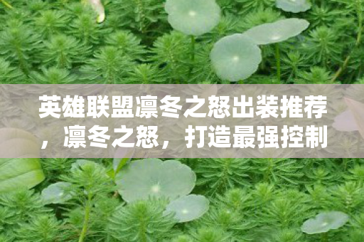 英雄联盟凛冬之怒出装推荐,凛冬之怒,打造最强控制流英雄出装 英雄联盟凛冬之怒出装推荐,凛冬之怒,打造最强控制流英雄出装