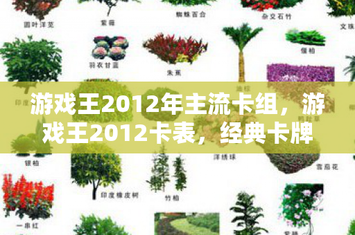 游戏王2012年主流卡组,游戏王2012卡表,经典卡牌游戏的辉煌篇章 游戏王2012年主流卡组,游戏王2012卡表,经典卡牌游戏的辉煌篇章